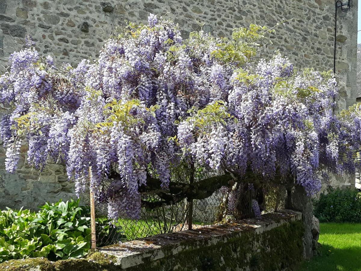 Village De Vie Saint-Vaury المظهر الخارجي الصورة