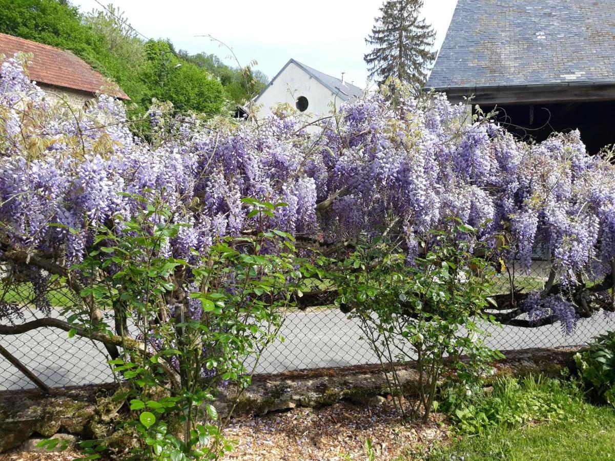 Village De Vie Saint-Vaury المظهر الخارجي الصورة