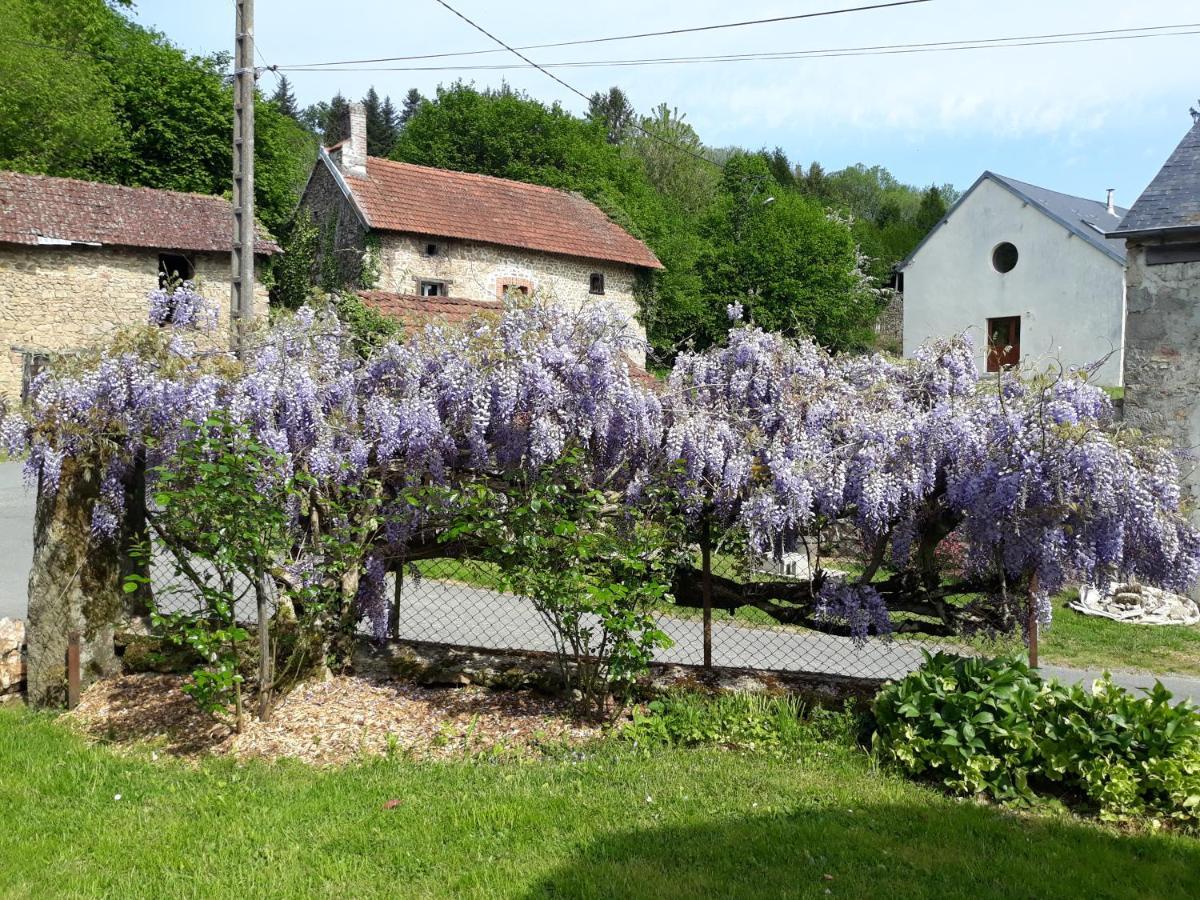 Village De Vie Saint-Vaury المظهر الخارجي الصورة